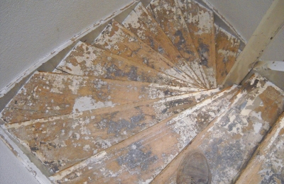 Volledige traprenovatie in herenhuis Nijmegen